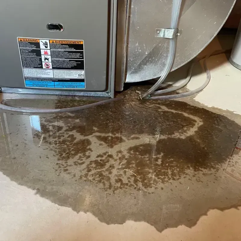 Appliance Leak Cleanup in Citrus City, TX